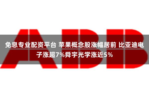 免息专业配资平台 苹果概念股涨幅居前 比亚迪电子涨超7%舜宇光学涨近5%