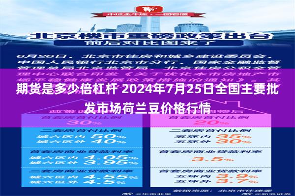 期货是多少倍杠杆 2024年7月25日全国主要批发市场荷兰豆价格行情