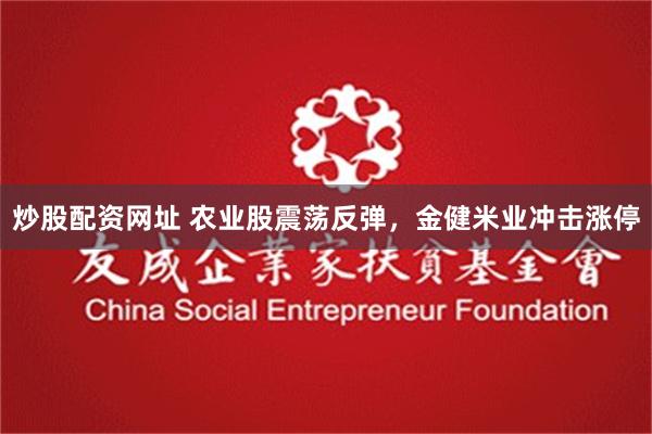 炒股配资网址 农业股震荡反弹，金健米业冲击涨停