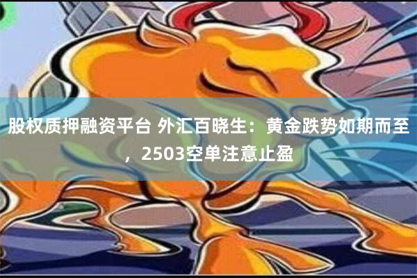 股权质押融资平台 外汇百晓生：黄金跌势如期而至，2503空单注意止盈