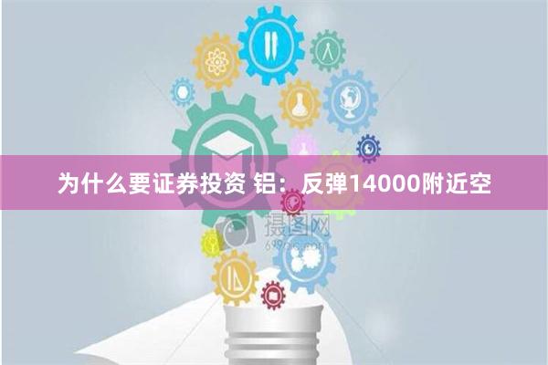 为什么要证券投资 铝：反弹14000附近空