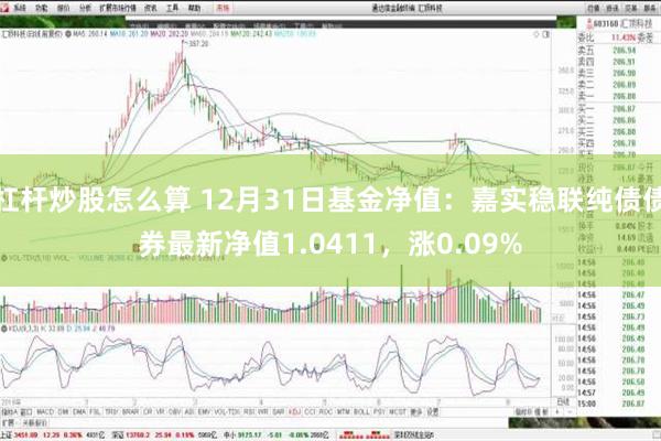 杠杆炒股怎么算 12月31日基金净值：嘉实稳联纯债债券最新净值1.0411，涨0.09%