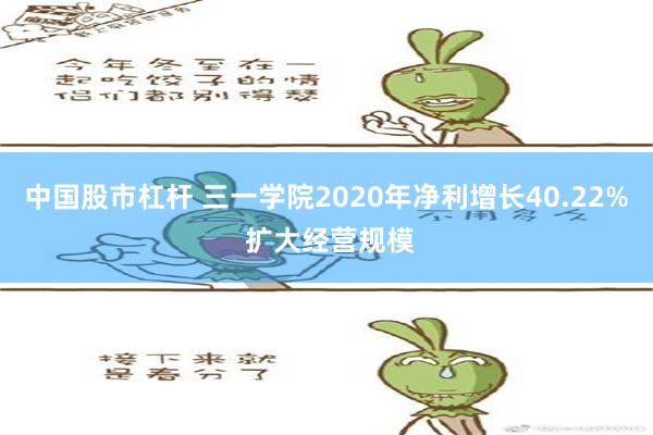 中国股市杠杆 三一学院2020年净利增长40.22% 扩大经营规模