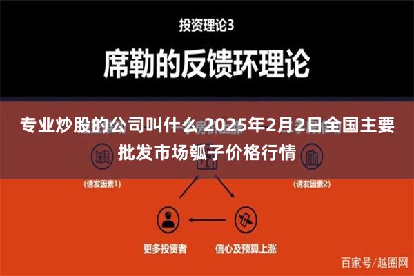 专业炒股的公司叫什么 2025年2月2日全国主要批发市场瓠子价格行情