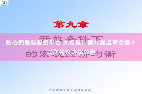 贴心的股票配资平台 大名城：第九届监事会第十二次会议决议公告